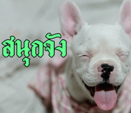 Hello Monday French bulldog sticker #14486284