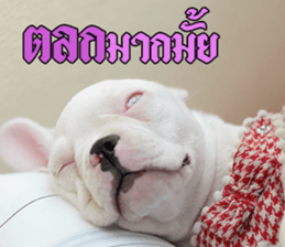 Hello Monday French bulldog sticker #14486285