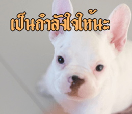 Hello Monday French bulldog sticker #14486287