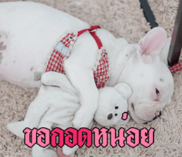 Hello Monday French bulldog sticker #14486289