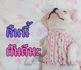 Hello Monday French bulldog sticker #14486291