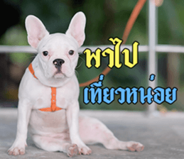 Hello Monday French bulldog sticker #14486292