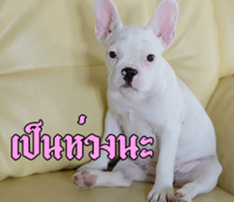 Hello Monday French bulldog sticker #14486293