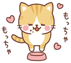 Fluffy Scottish Fold2 sticker #14486550