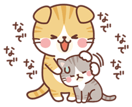 Fluffy Scottish Fold2 sticker #14486555