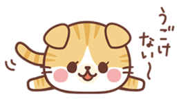 Fluffy Scottish Fold2 sticker #14486560