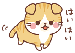 Fluffy Scottish Fold2 sticker #14486586