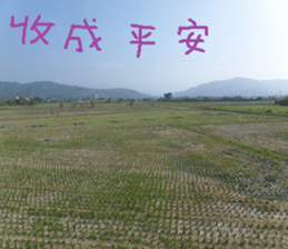 The beauty of fish and flowers sticker #14487414