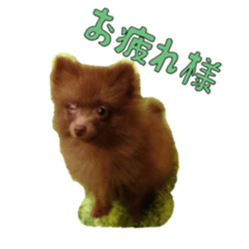 Chataro with friends2 sticker #14489504