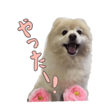 Chataro with friends2 sticker #14489508