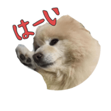 Chataro with friends2 sticker #14489509