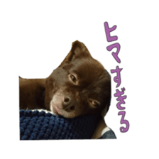 Chataro with friends2 sticker #14489512