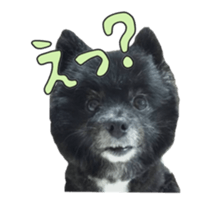 Chataro with friends2 sticker #14489518