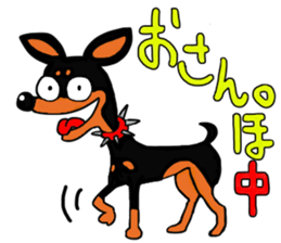 minipin joe sticker #14489962