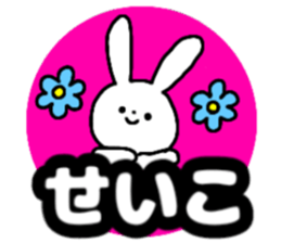 Name sticker Seiko can be used sticker #14490318