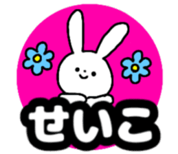 Name sticker Seiko can be used sticker #14490318