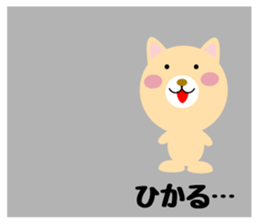 Daily life of a cute hikaru sticker #14490439