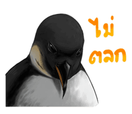 serious penguin sticker #14490908