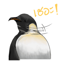 serious penguin sticker #14490911