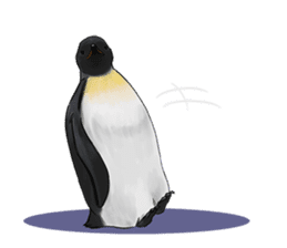 serious penguin sticker #14490920