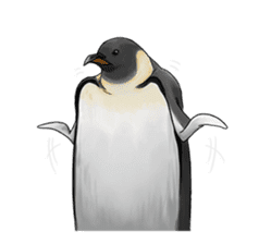 serious penguin sticker #14490925