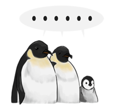 serious penguin sticker #14490931