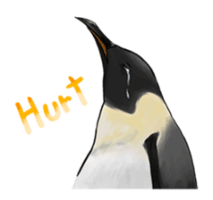 serious penguin sticker #14490938