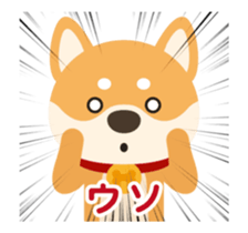 Shiba-Dog Moving~(Japanese Ver) sticker #14491951