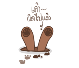 perverse bear sticker #14492337