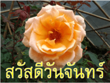 FEEL SO GOOD (HAPPY EVERYDAY) sticker #14492367