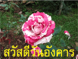 FEEL SO GOOD (HAPPY EVERYDAY) sticker #14492368