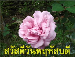 FEEL SO GOOD (HAPPY EVERYDAY) sticker #14492370