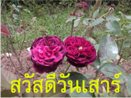 FEEL SO GOOD (HAPPY EVERYDAY) sticker #14492372