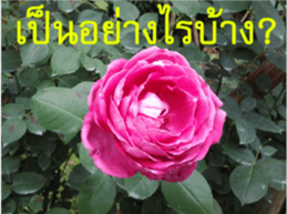 FEEL SO GOOD (HAPPY EVERYDAY) sticker #14492374