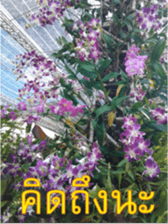 FEEL SO GOOD (HAPPY EVERYDAY) sticker #14492376