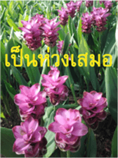 FEEL SO GOOD (HAPPY EVERYDAY) sticker #14492377