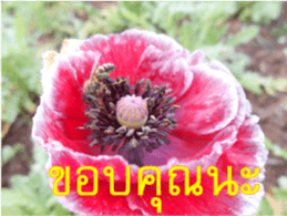 FEEL SO GOOD (HAPPY EVERYDAY) sticker #14492385