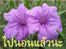 FEEL SO GOOD (HAPPY EVERYDAY) sticker #14492386