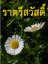 FEEL SO GOOD (HAPPY EVERYDAY) sticker #14492387