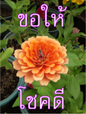 FEEL SO GOOD (HAPPY EVERYDAY) sticker #14492389