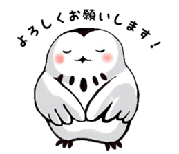 Fu Yosuke sticker #14493229