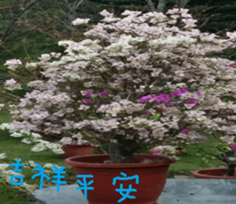 Flowers and trees sticker #14493358