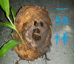 Flowers and trees sticker #14493362