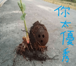 Flowers and trees sticker #14493364