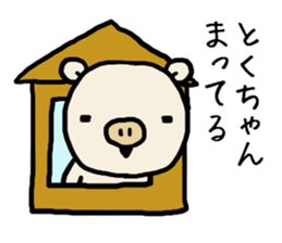 Tokuchan pig sticker #14493487