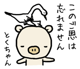 Tokuchan pig sticker #14493500