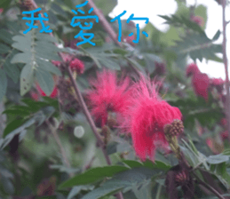 The natural beauty of dusk sticker #14493546