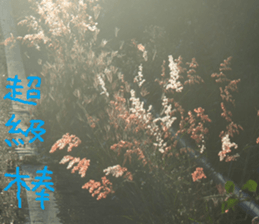 The natural beauty of dusk sticker #14493548