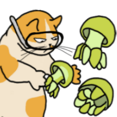 Mia the cat with ocean friends