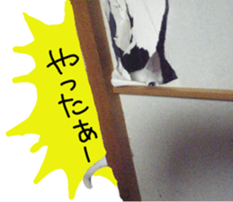 White cat kitty silver real photo sticker #14495318